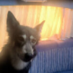 Profilbild von Testuser