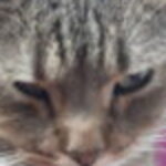 Profilbild von Dani